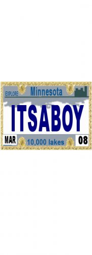30 MINNESOTA License Plate BOY Baby Shower Candy Bar Wrappers Hershey's Nugget Labels Party Favors