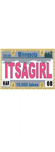 30 MINNESOTA License Plate GIRL Baby Shower Candy Bar Wrappers Hershey's Nugget Labels Party Favors