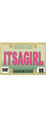 30 MISSOURI License Plate GIRL Baby Shower Candy Bar Wrappers Hershey's Nugget Labels Party Favors