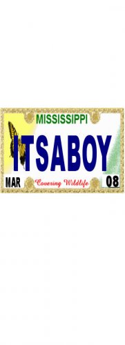 30 MISSISSIPPI License Plate BOY Baby Shower Candy Bar Wrappers Hershey Nugget Labels Party Favors