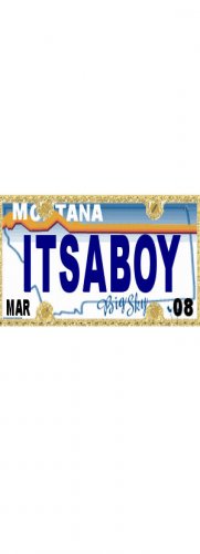 30 MONTANA License Plate BOY Baby Shower Candy Bar Wrappers Hershey's Nugget Labels Party Favors