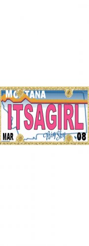 30 MONTANA License Plate GIRL Baby Shower Candy Bar Wrappers Hershey's Nugget Labels Party Favors