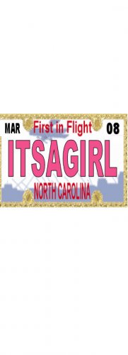 30 NORTH CAROLINA License Plate GIRL Baby Shower Candy Bar Wrappers Nugget Labels Party Favors