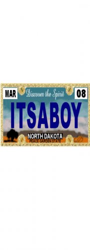 30 NORTH DAKOTA License Plate BOY Baby Shower Candy Bar Wrappers Nugget Labels Party Favors