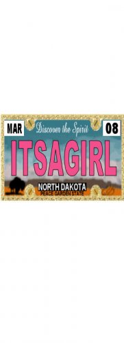 30 NORTH DAKOTA License Plate GIRL Baby Shower Candy Bar Wrappers Nugget Labels Party Favors