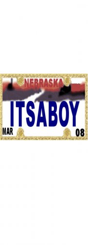 30 NEBRASKA License Plate BOY Baby Shower Candy Bar Wrappers Hershey's Nugget Labels Party Favors