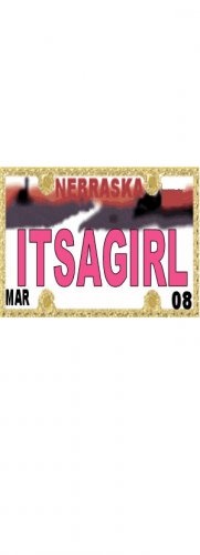 30 NEBRASKA License Plate GIRL Baby Shower Candy Bar Wrappers Hershey's Nugget Labels Party Favors