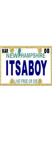 30 NEW HAMPSHIRE License Plate BOY Baby Shower Candy Bar Wrappers Hershey Nugget Labels Party Favors