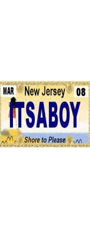 30 NEW JERSEY License Plate BOY Baby Shower Candy Bar Wrappers Hershey's Nugget Labels Party Favors