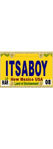 30 NEW MEXICO License Plate BOY Baby Shower Candy Bar Wrappers Hershey's Nugget Labels Party Favors