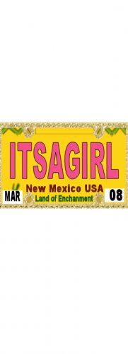 30 NEW MEXICO License Plate GIRL Baby Shower Candy Bar Wrappers Hershey's Nugget Labels Party Favors
