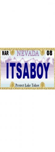 30 NEVADA License Plate BOY Baby Shower Candy Bar Wrappers Hershey's Nugget Labels Party Favors