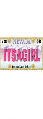 30 NEVADA License Plate GIRL Baby Shower Candy Bar Wrappers Hershey's Nugget Labels Party Favors