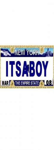 30 NEW YORK License Plate BOY Baby Shower Candy Bar Wrappers Hershey's Nugget Labels Party Favors