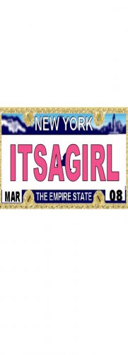 30 NEW YORK License Plate GIRL Baby Shower Candy Bar Wrappers Hershey's Nugget Labels Party Favors