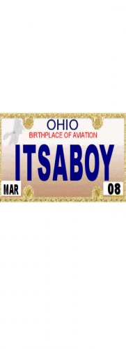 30 OHIO License Plate BOY Baby Shower Candy Bar Wrappers Hershey's Nugget Labels Party Favors