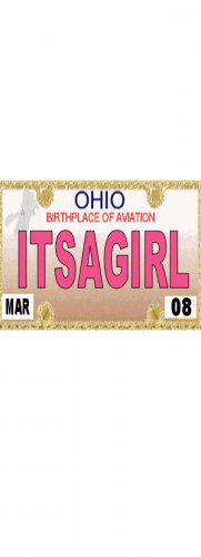 30 OHIO License Plate GIRL Baby Shower Candy Bar Wrappers Hershey's Nugget Labels Party Favors