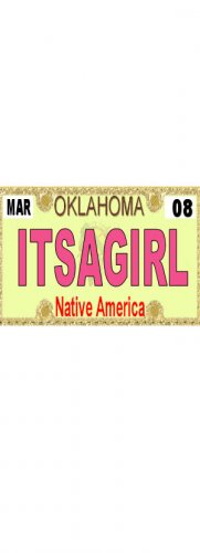 30 OKLAHOMA License Plate GIRL Baby Shower Candy Bar Wrappers Hershey's Nugget Labels Party Favors