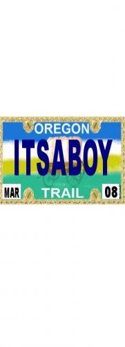 30 OREGON License Plate BOY Baby Shower Candy Bar Wrappers Hershey's Nugget Labels Party Favors