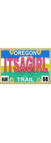 30 OREGON License Plate GIRL Baby Shower Candy Bar Wrappers Hershey's Nugget Labels Party Favors