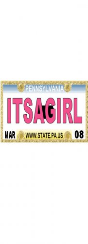 30 PENNSYLVANIA License Plate GIRL Baby Shower Candy Bar Wrappers Hershey Nugget Labels Party Favors