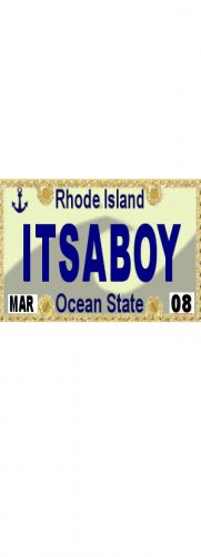 30 RHODE ISLAND License Plate BOY Baby Shower Candy Bar Wrappers Hershey Nugget Labels Party Favors