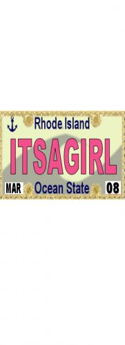 30 RHODE ISLAND License Plate GIRL Baby Shower Candy Bar Wrappers Hershey Nugget Labels Party Favors