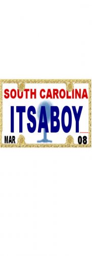 30 SOUTH CAROLINA License Plate BOY Baby Shower Candy Bar Wrappers Nugget Labels Party Favors