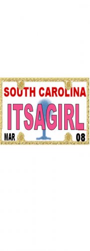 30 SOUTH CAROLINA License Plate GIRL Baby Shower Candy Bar Wrappers Nugget Labels Party Favors