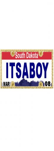 30 SOUTH DAKOTA License Plate BOY Baby Shower Candy Bar Wrappers Nugget Labels Party Favors