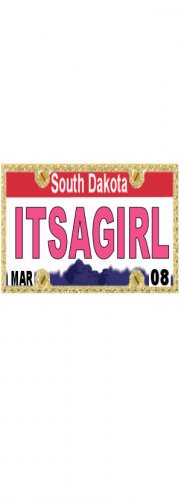 30 SOUTH DAKOTA License Plate GIRL Baby Shower Candy Bar Wrappers Nugget Labels Party Favors