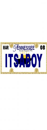30 TENNESSEE License Plate BOY Baby Shower Candy Bar Wrappers Nugget Labels Party Favors