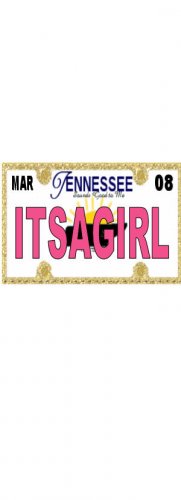 30 TENNESSEE License Plate GIRL Baby Shower Candy Bar Wrappers Nugget Labels Party Favors
