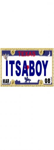 30 TEXAS License Plate BOY Baby Shower Candy Bar Wrappers Hershey's Nugget Labels Party Favors