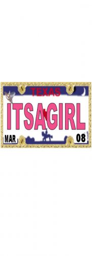 30 TEXAS License Plate GIRL Baby Shower Candy Bar Wrappers Hershey's Nugget Labels Party Favors