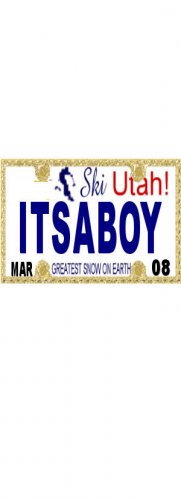 30 UTAH License Plate BOY Baby Shower Candy Bar Wrappers Hershey's Nugget Labels Party Favors