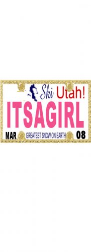 30 UTAH License Plate GIRL Baby Shower Candy Bar Wrappers Hershey's Nugget Labels Party Favors
