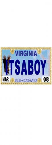 30 VIRGINIA License Plate BOY Baby Shower Candy Bar Wrappers Hershey's Nugget Labels Party Favors