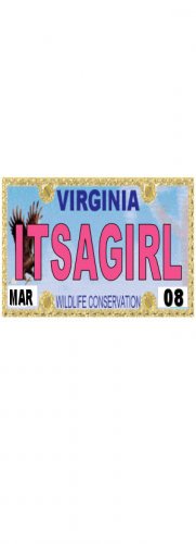 30 VIRGINIA License Plate GIRL Baby Shower Candy Bar Wrappers Hershey's Nugget Labels Party Favors