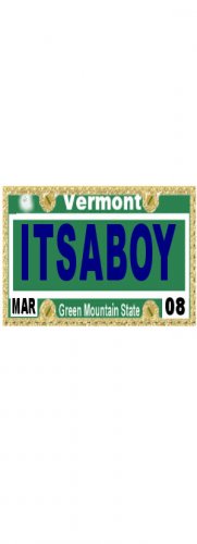 30 VERMONT License Plate BOY Baby Shower Candy Bar Wrappers Hershey's Nugget Labels Party Favors