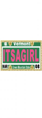 30 VERMONT License Plate GIRL Baby Shower Candy Bar Wrappers Hershey's Nugget Labels Party Favors