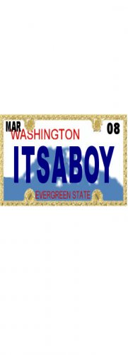 30 WASHINGTON License Plate BOY Baby Shower Candy Bar Wrappers Hershey's Nugget Labels Party Favors