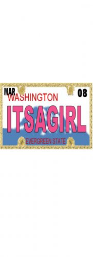 30 WASHINGTON License Plate GIRL Baby Shower Candy Bar Wrappers Hershey's Nugget Labels Party Favors