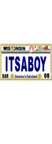 30 WISCONSIN License Plate BOY Baby Shower Candy Bar Wrappers Hershey's Nugget Labels Party Favors
