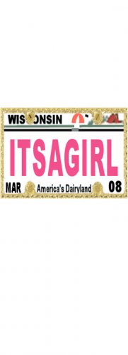 30 WISCONSIN License Plate GIRL Baby Shower Candy Bar Wrappers Hershey's Nugget Labels Party Favors