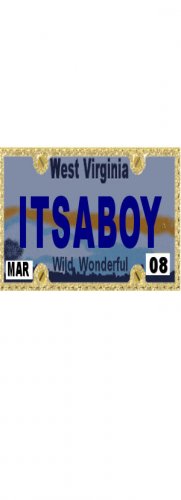 30 WEST VIRGINIA License Plate BOY Baby Shower Candy Bar Wrappers Hershey Nugget Labels Party Favors