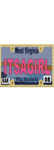 30 WEST VIRGINIA License Plate GIRL Baby Shower Candy Bar Wrappers Hershey Nugget Labels Party Favor