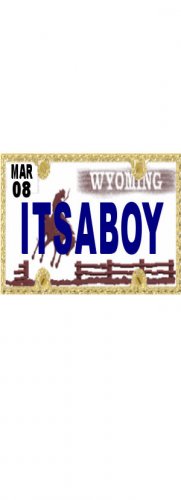 30 WYOMING License Plate BOY Baby Shower Candy Bar Wrappers Hershey's Nugget Labels Party Favors