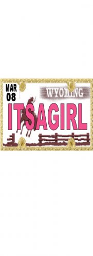 30 WYOMING License Plate GIRL Baby Shower Candy Bar Wrappers Hershey's Nugget Labels Party Favors