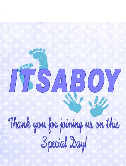 16 ITS A BOY Baby Lip Balm Chapstick Lip Balm Chap Stick Wrapper party favor label